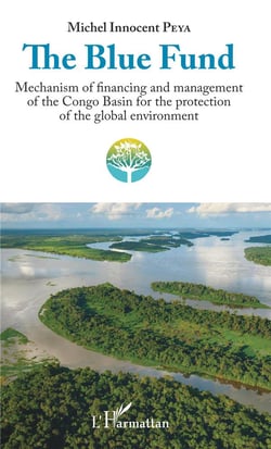 The blue fund - mechanism of financing and management of the Congo basin for the protection of the global environment