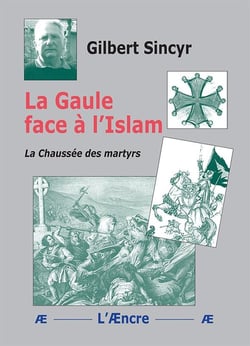 La Gaule face à l'Islam : La Chaussée des martyrs