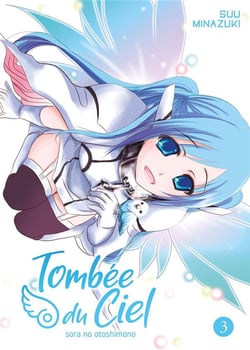 Tombée du ciel Tome 3