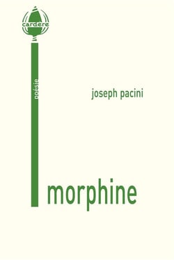 Morphine - Paysages sans preuves