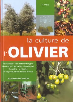 Culture de l'olivier (la)