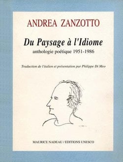 Du paysage à l'idiome