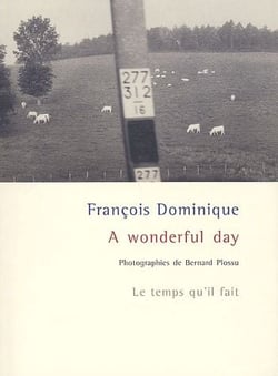 A wonderful day