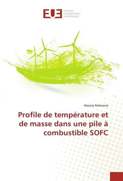 Profile de temperature et de masse dans une pile a combustible sofc