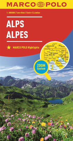CARTE ALPES 1:800000