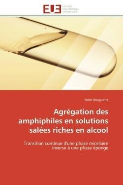 Agregation des amphiphiles en solutions salees riches en alcool - transition continue d'une phase mi