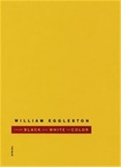 William eggleston from black and white to color