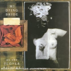 As The Flower Withers