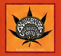 Black power flower