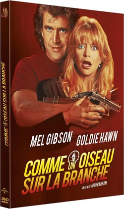 Comme un oiseau sur la branche