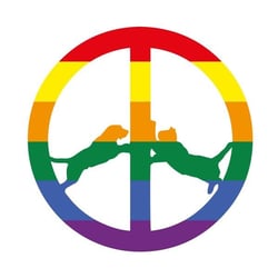 Rainbow edition