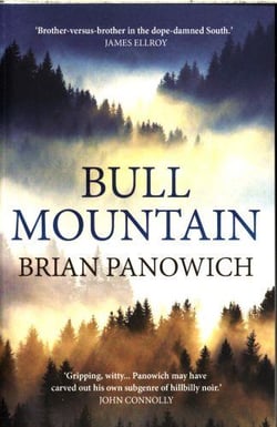 Bull mountain