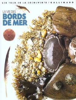 La vie des bords de mer