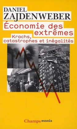 Économie des extrêmes : Krachs, catastrophes et inégalités