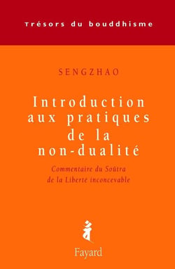 Introduction aux pratiques de la non-dualité