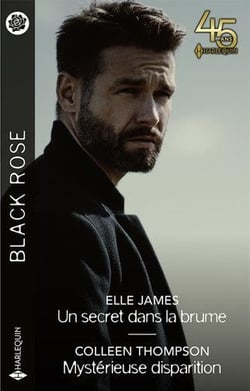 Un secret dans la brume - mystérieuse disparition