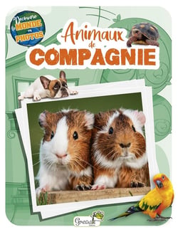 Découvre le monde en photos : Animaux de compagnie