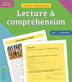 Cahier d'exercices : lecture & compréhension - CE2