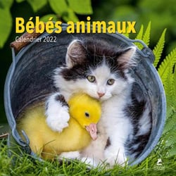 Bébés animaux : calendrier (édition 2022)