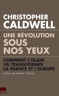 Une révolution sous nos yeux - comment l'Islam va transformer la France et l'Europe