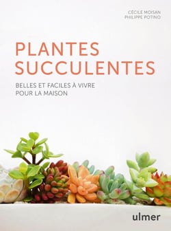 Plantes succulentes - belles et faciles à vivre pour la maison