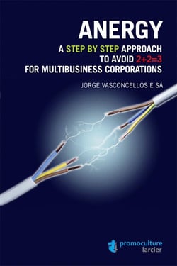 Anergy - a step by step approach to avoid 2+2=3 for multibusiness corporations