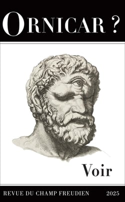 Revue Ornicar n.61 : Voir