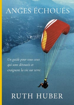 Anges échoués : Un guide pour tous ceux qui sont déroutés et craignent la vie sur terre
