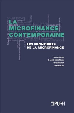 La Microfinance contemporaine - IV : Les frontières de la microfinance