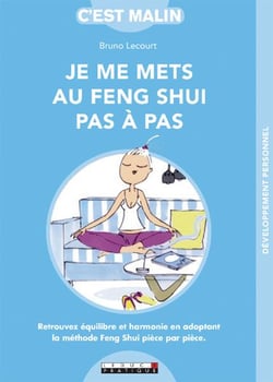 C'est malin grand format : je me mets au feng shui pas à pas - retrouvez équilibre et harmonie en adoptant la méthode feng shui pièce par pièce.