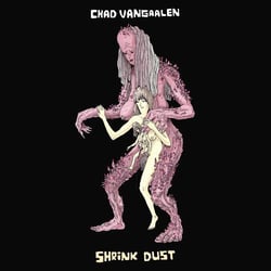 Shrink dust - Vinyle