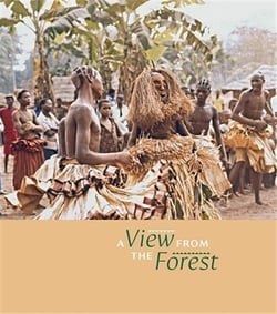 A view from the forest