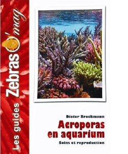 Acroporas en aquarium
