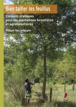 Bien tailler les feuillus : Conseils pratiques pour l'entretien des plantations forestières et agroforestières
