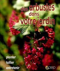 Des arbustes dans votre jardin