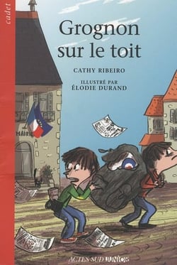 Grognon sur le toit