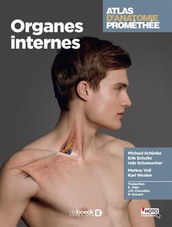 Atlas d'anatomie Prométhée Tome 3 : organes internes