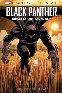 Black Panther : qui est la panthère noire ?
