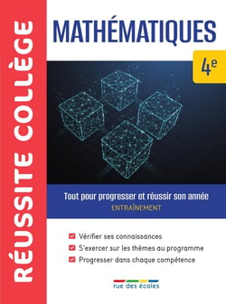 Réussite collège : mathématiques - 4e - tout pour progresser et réussir son année