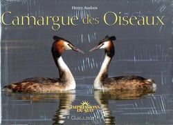 Camargue des oiseaux