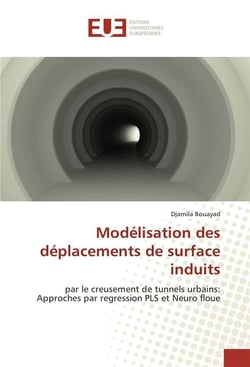 Modelisation des deplacements de surface induits