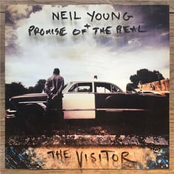 The visitor