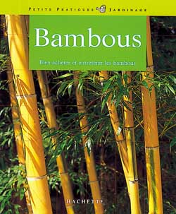 Bambous