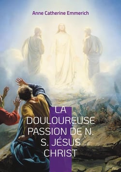 La Douloureuse Passion de N. S. Jésus Christ : Une plongée dans les visions mystiques de la Passion de notre Seigneur Jésus Christ
