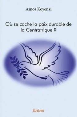 Où se cache la paix durable de la centrafrique ?