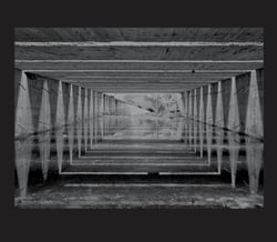 Jardin de l'ombre / An almost nothing