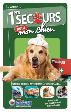Mémento premiers secours pour mon chien