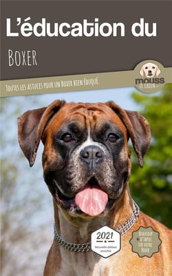 L'éducation du Boxer : toutes les astuces pour un Boxer bien éduqué