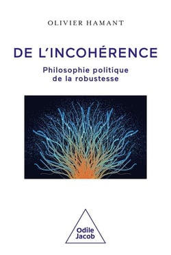 De l'incohérence : Philosophie politique de la robustesse