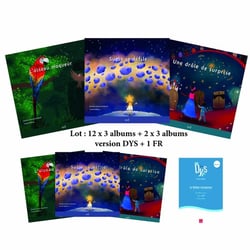 LECTURE FACILITEE - 12 X 3 ALBUMS + 2 X 3 ALBUMS DYS : Suzie se défile, L'oiseau moqueur, Une drôle de surprise